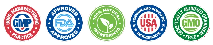Synaptigen Quality Certifications